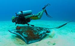 Turks & Caicos Diving Holiday - credit Turks & Caicos Tourist Board